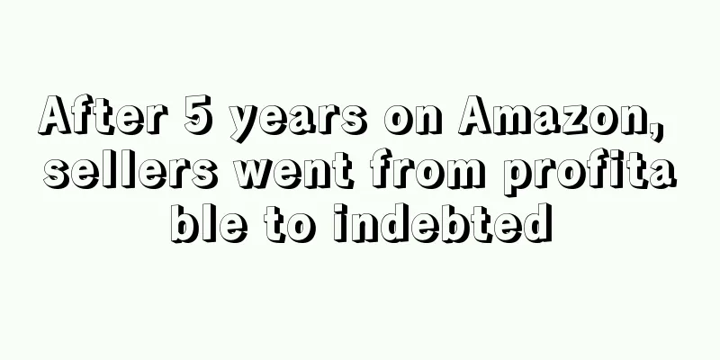 After 5 years on Amazon, sellers went from profitable to indebted