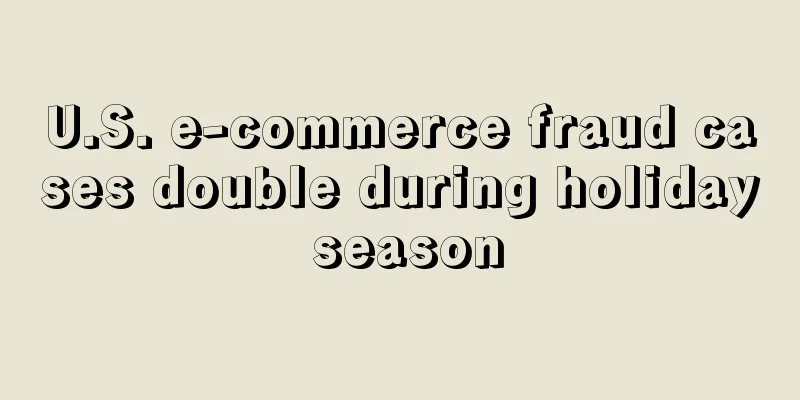 U.S. e-commerce fraud cases double during holiday season