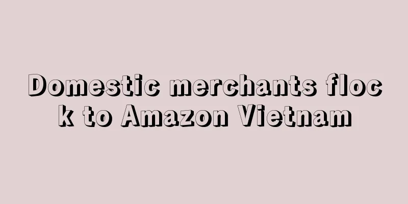 Domestic merchants flock to Amazon Vietnam