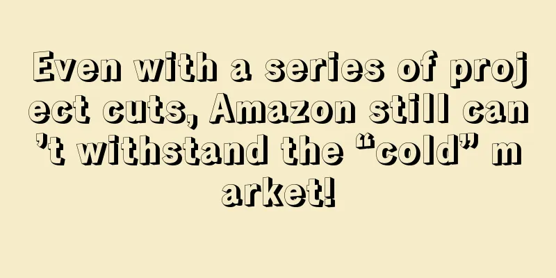 Even with a series of project cuts, Amazon still can’t withstand the “cold” market!