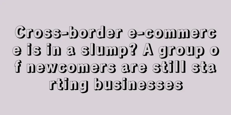 Cross-border e-commerce is in a slump? A group of newcomers are still starting businesses