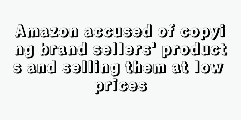 Amazon accused of copying brand sellers' products and selling them at low prices