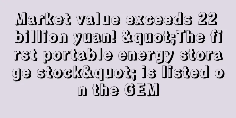 Market value exceeds 22 billion yuan! "The first portable energy storage stock" is listed on the GEM