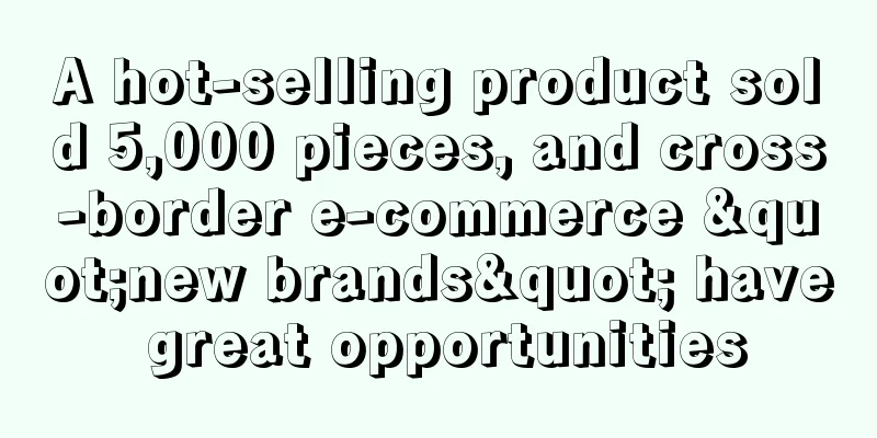 A hot-selling product sold 5,000 pieces, and cross-border e-commerce "new brands" have great opportunities