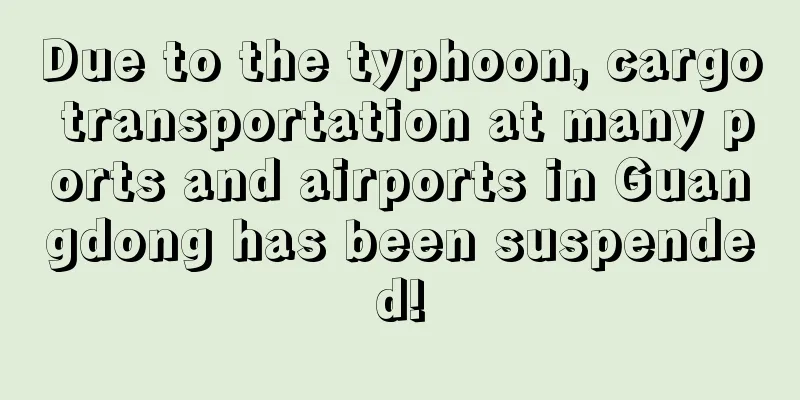 Due to the typhoon, cargo transportation at many ports and airports in Guangdong has been suspended!