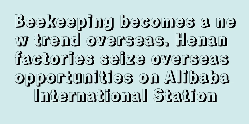 Beekeeping becomes a new trend overseas. Henan factories seize overseas opportunities on Alibaba International Station