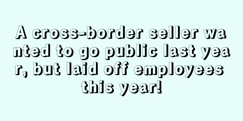 A cross-border seller wanted to go public last year, but laid off employees this year!