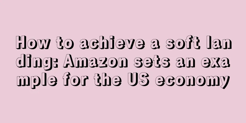 How to achieve a soft landing: Amazon sets an example for the US economy