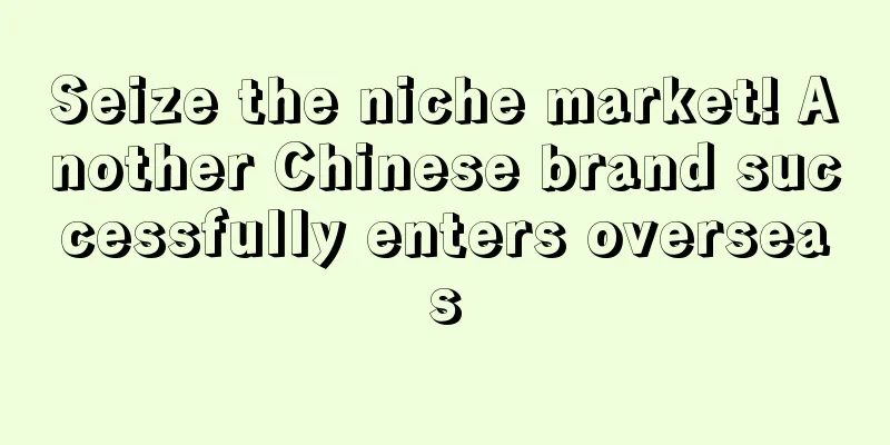 Seize the niche market! Another Chinese brand successfully enters overseas