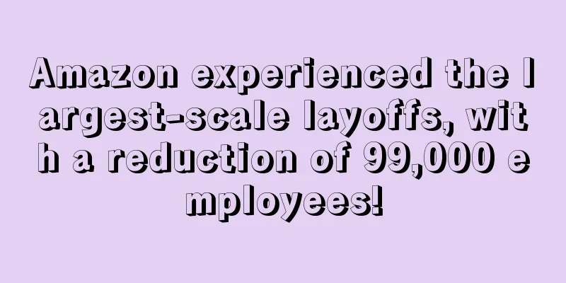 Amazon experienced the largest-scale layoffs, with a reduction of 99,000 employees!