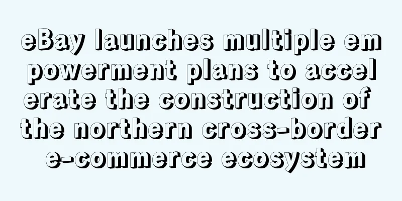 eBay launches multiple empowerment plans to accelerate the construction of the northern cross-border e-commerce ecosystem