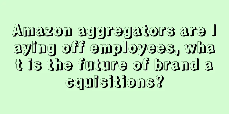Amazon aggregators are laying off employees, what is the future of brand acquisitions?