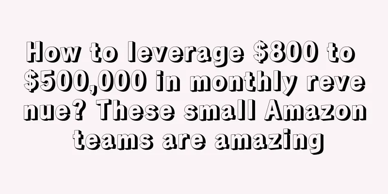 How to leverage $800 to $500,000 in monthly revenue? These small Amazon teams are amazing