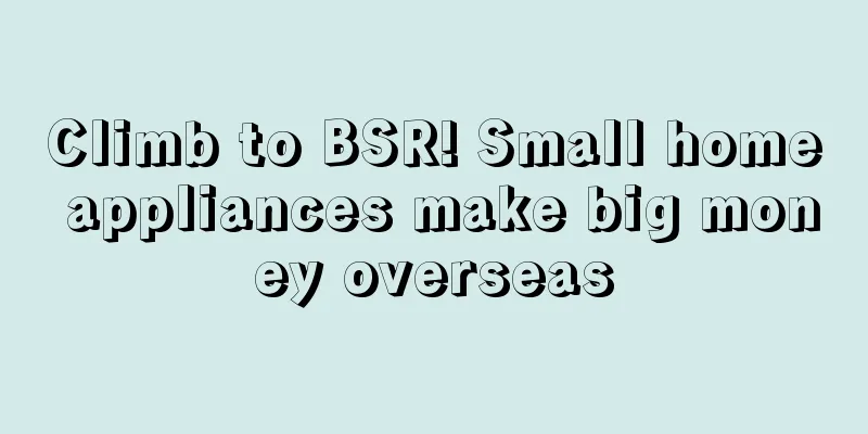 Climb to BSR! Small home appliances make big money overseas