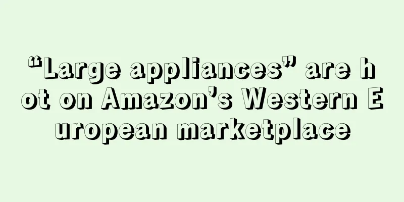 “Large appliances” are hot on Amazon’s Western European marketplace