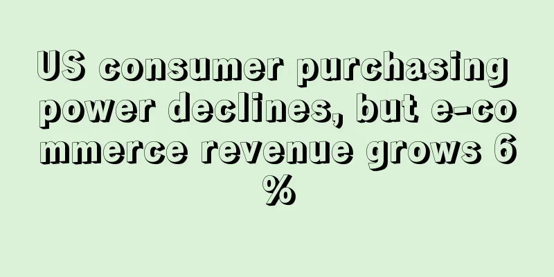 US consumer purchasing power declines, but e-commerce revenue grows 6%