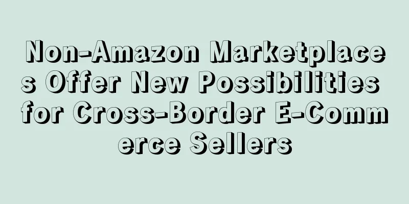 Non-Amazon Marketplaces Offer New Possibilities for Cross-Border E-Commerce Sellers