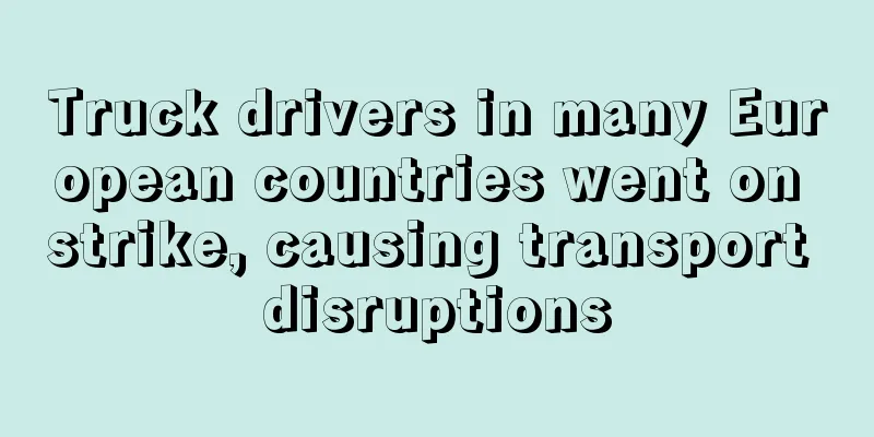 Truck drivers in many European countries went on strike, causing transport disruptions