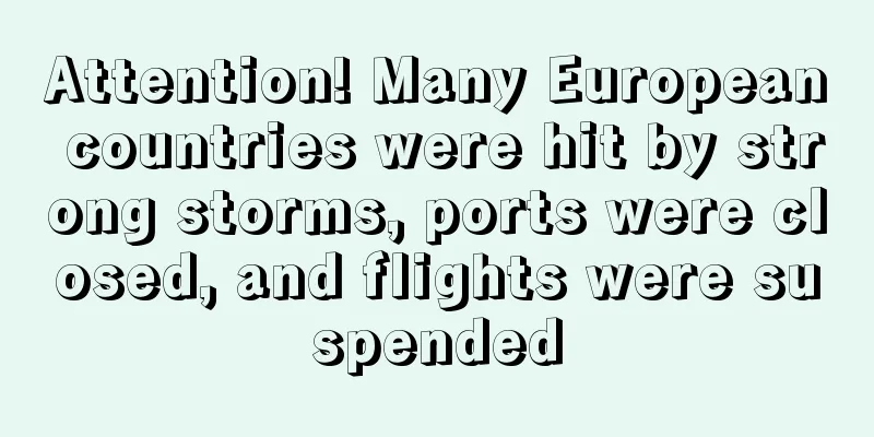 Attention! Many European countries were hit by strong storms, ports were closed, and flights were suspended