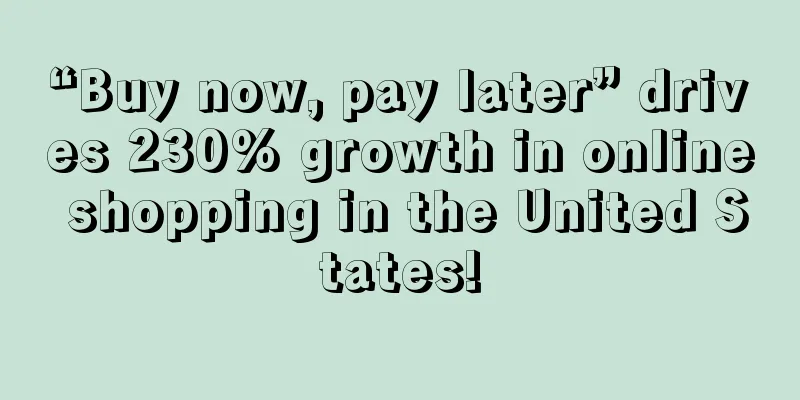 “Buy now, pay later” drives 230% growth in online shopping in the United States!