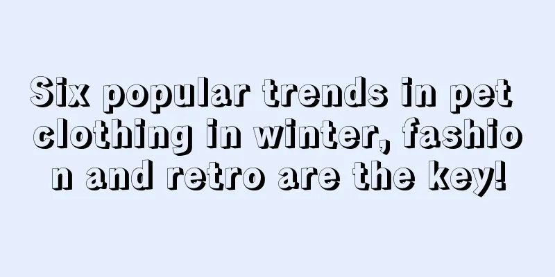 Six popular trends in pet clothing in winter, fashion and retro are the key!