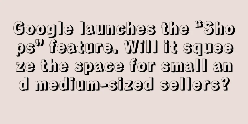 Google launches the “Shops” feature. Will it squeeze the space for small and medium-sized sellers?