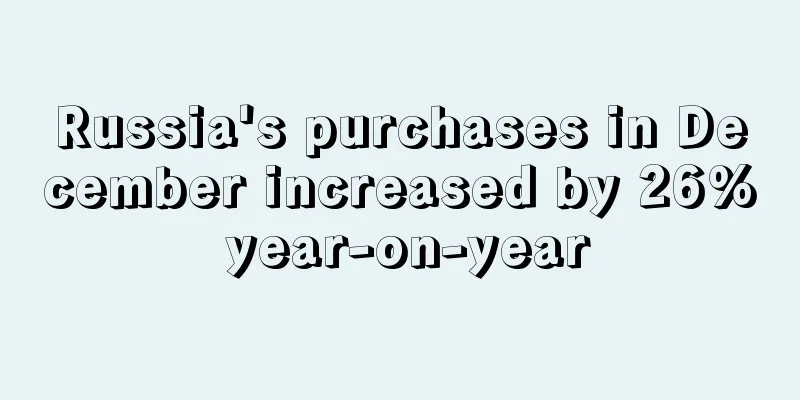 Russia's purchases in December increased by 26% year-on-year