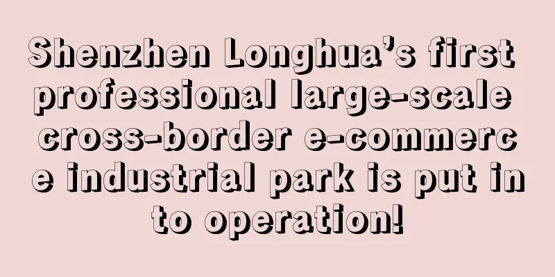 Shenzhen Longhua’s first professional large-scale cross-border e-commerce industrial park is put into operation!