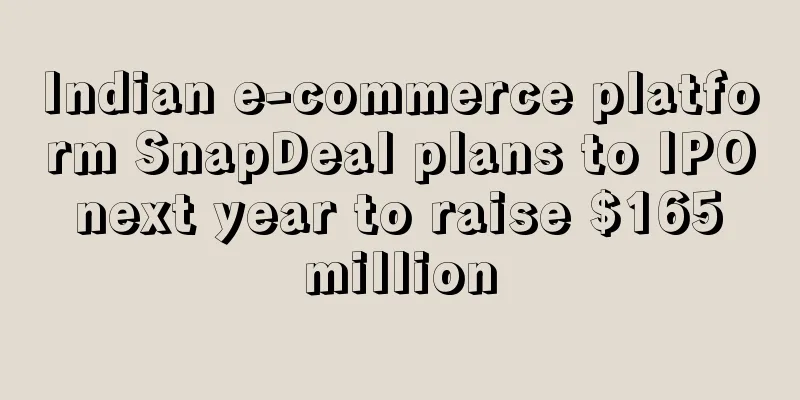 Indian e-commerce platform SnapDeal plans to IPO next year to raise $165 million
