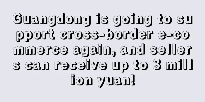 Guangdong is going to support cross-border e-commerce again, and sellers can receive up to 3 million yuan!
