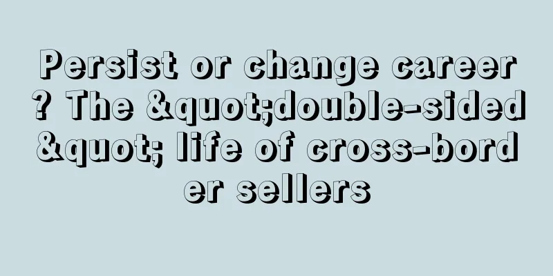 Persist or change career? The "double-sided" life of cross-border sellers