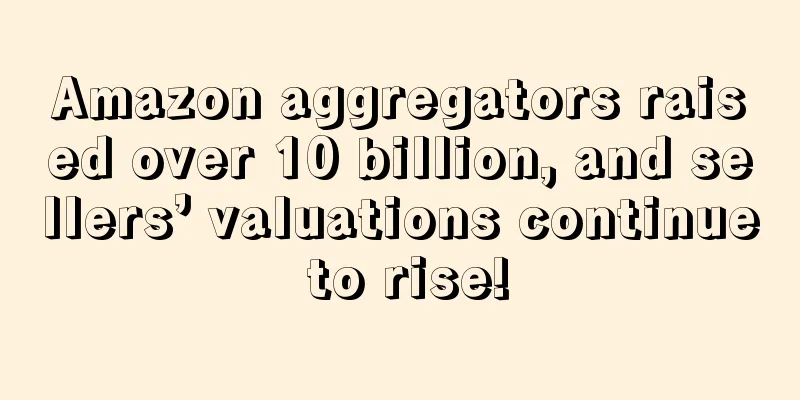 Amazon aggregators raised over 10 billion, and sellers’ valuations continue to rise!