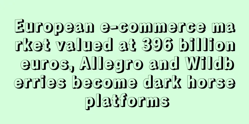European e-commerce market valued at 396 billion euros, Allegro and Wildberries become dark horse platforms