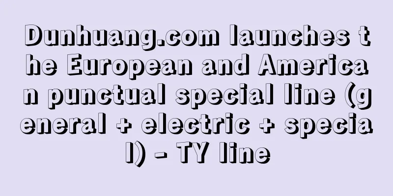 Dunhuang.com launches the European and American punctual special line (general + electric + special) - TY line