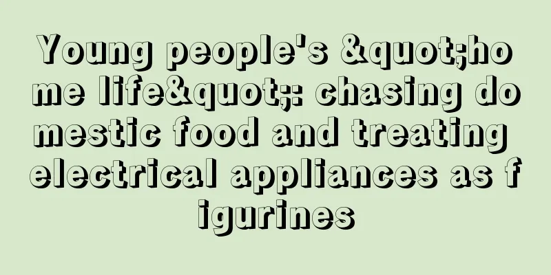 Young people's "home life": chasing domestic food and treating electrical appliances as figurines