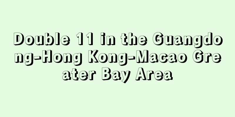 Double 11 in the Guangdong-Hong Kong-Macao Greater Bay Area