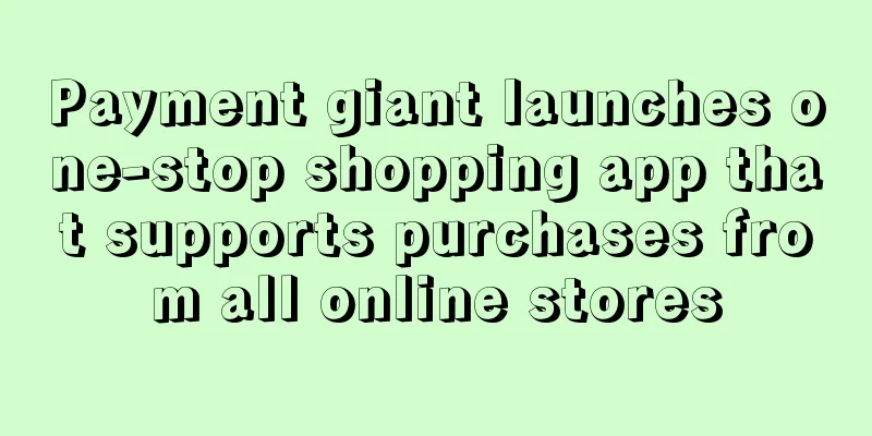 Payment giant launches one-stop shopping app that supports purchases from all online stores
