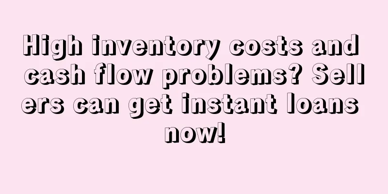 High inventory costs and cash flow problems? Sellers can get instant loans now!