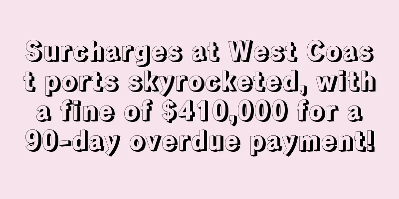 Surcharges at West Coast ports skyrocketed, with a fine of $410,000 for a 90-day overdue payment!