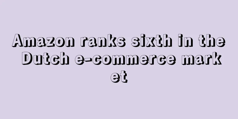Amazon ranks sixth in the Dutch e-commerce market