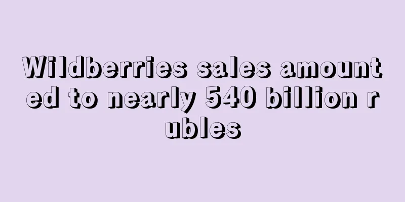 Wildberries sales amounted to nearly 540 billion rubles