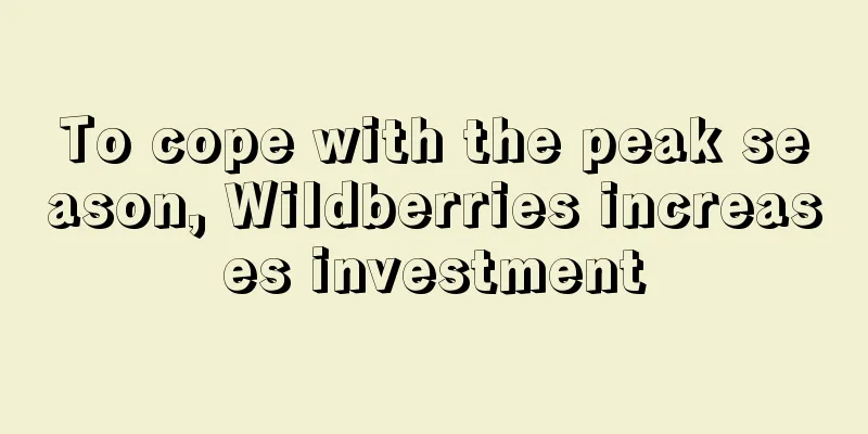 To cope with the peak season, Wildberries increases investment