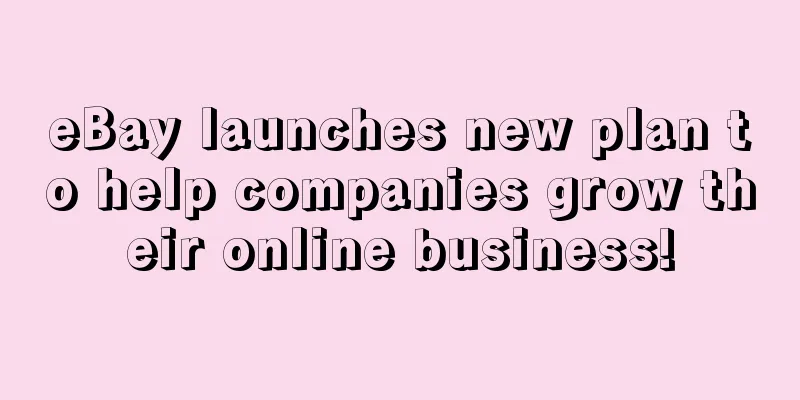 eBay launches new plan to help companies grow their online business!