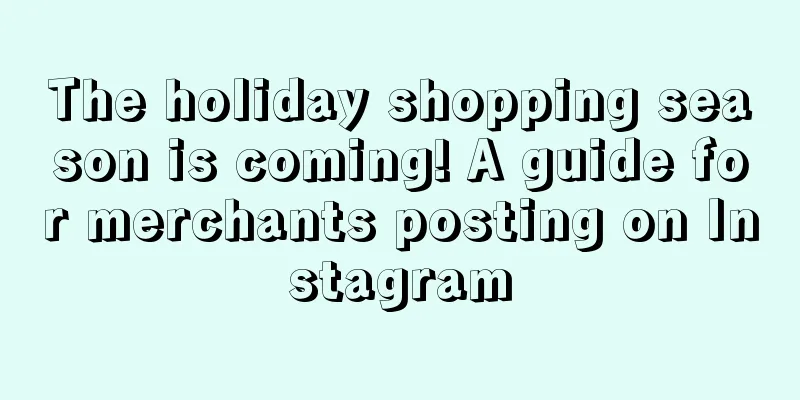The holiday shopping season is coming! A guide for merchants posting on Instagram