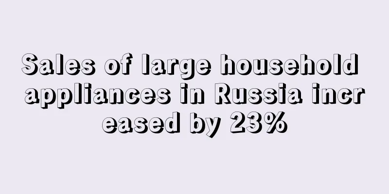 Sales of large household appliances in Russia increased by 23%