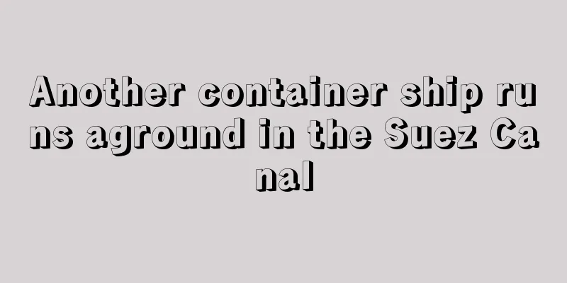 Another container ship runs aground in the Suez Canal