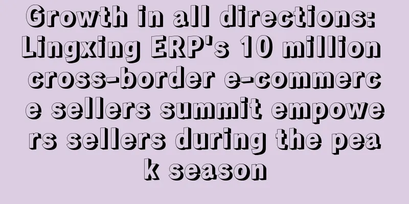 Growth in all directions: Lingxing ERP's 10 million cross-border e-commerce sellers summit empowers sellers during the peak season