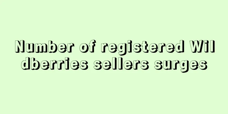 Number of registered Wildberries sellers surges