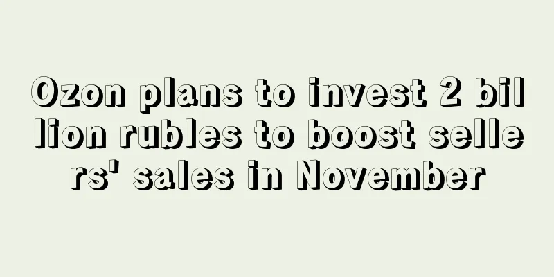 Ozon plans to invest 2 billion rubles to boost sellers' sales in November