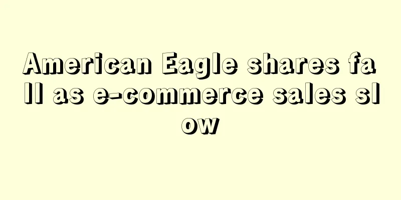American Eagle shares fall as e-commerce sales slow
